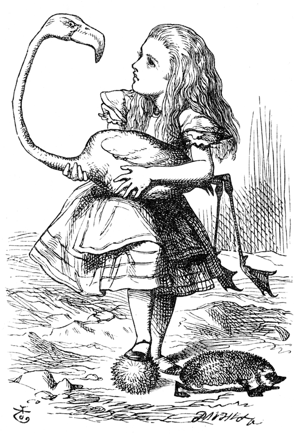 John Tenniel's Alice holding the flamingo, a black-and-white engraving with fine hatching.